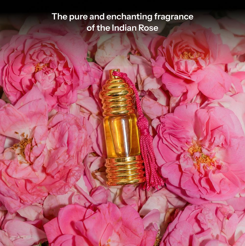 Gulabi I Damask Rose Perfume Oil (6ml)