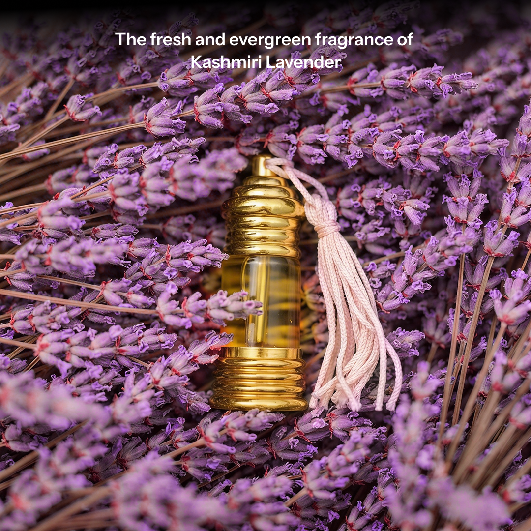 Bloom Set | Boond Natural Perfume Oils (Set of 3)