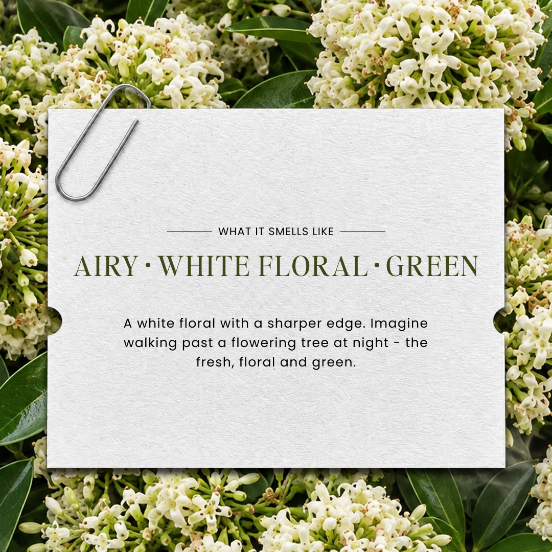 Satparni forest flower perfume oil fragrance notes — Boond Naturals